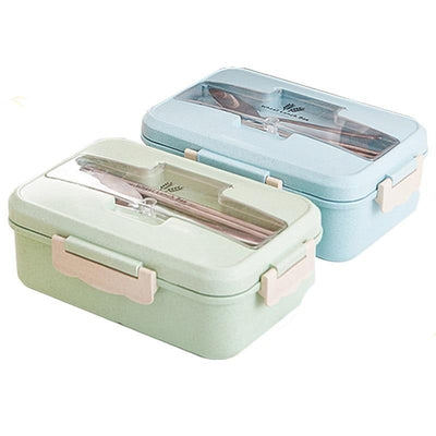 Bento Box Plastique | MJ FRANKO